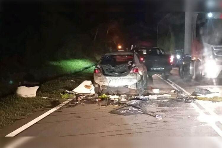 Mammoth road rage: Elephants attack car in Malaysia allegedly after getting horned at