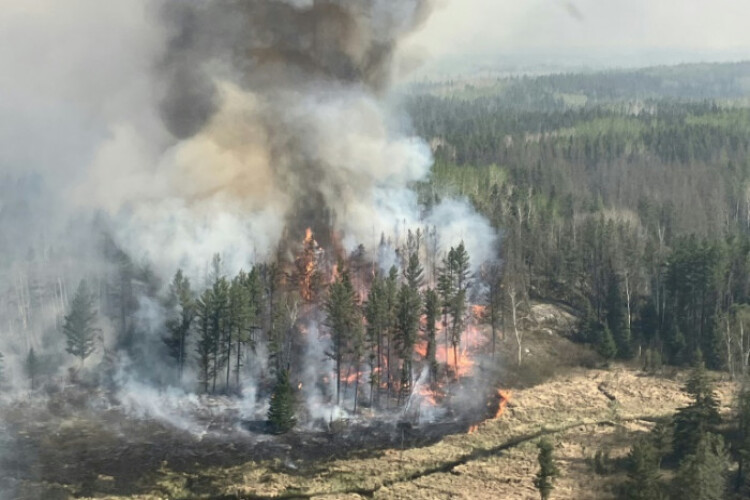 Thousands flee Manitoba wildfires in Canada