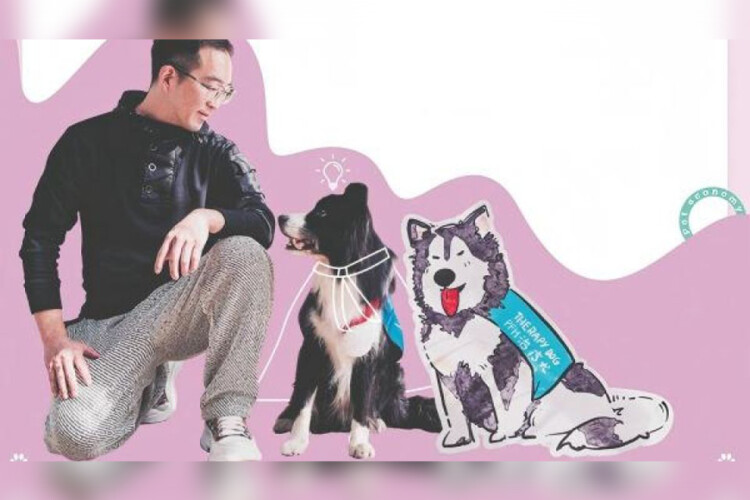 Furry pals: Therapy animals play growing role in mental health care across China