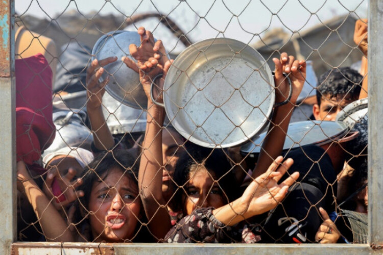 More than 100 NGOs warn 'mass starvation' spreading across Gaza