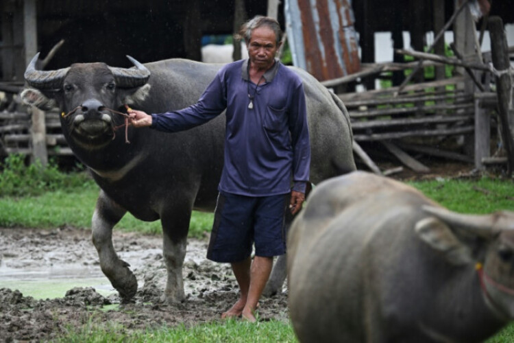 Thais and Cambodians refuse to quit homes on clash frontier