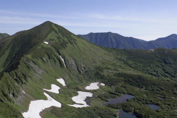 Over 85% wary of bad tourist behaviour at national parks: poll