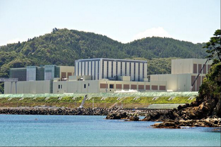 Japanese nuclear reactor restarts after 13 years